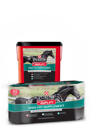 Purina Amplify High-Fat Horse Supplement - Pasturas Los Alazanes