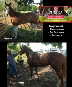 purina supersport coupon